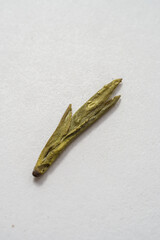 A Single Dried Green Tea Leaf beautifully displayed on a pristine White Background