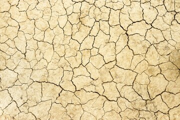 Parched, Cracked Earth Highlighting Effects of Drought