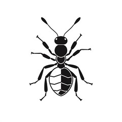 Fototapeta premium Ant Silhouette Icon 