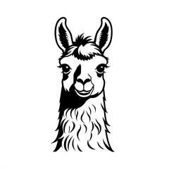 Obraz premium Llama Portrait: Black and White Illustration 