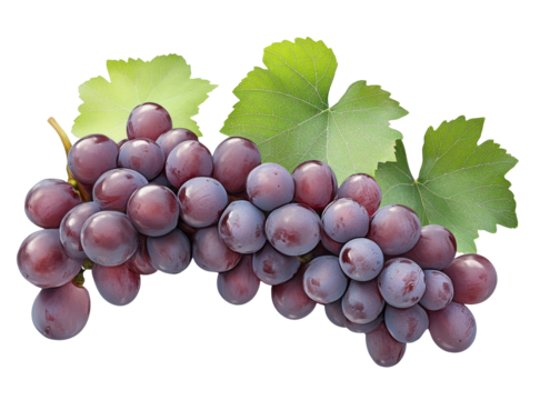 High-Quality PNG Red grape with leaves Isolated on White Background – High Resolution
