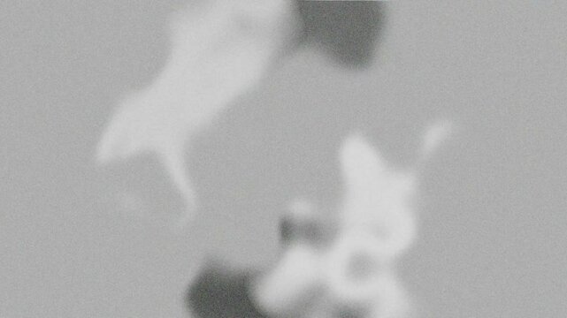 Animation Abstract Background. grayscale grain abstract background