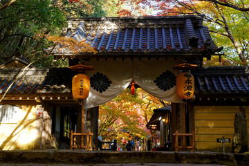 紅葉に彩られた総門