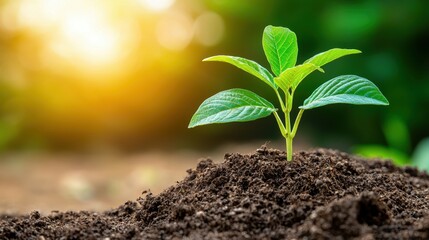 A company focused on ESG principles aims to minimize its environmental impact by implementing renewable energy sources, reducing waste