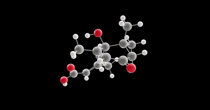 Abscisic acid molecule, rotating 3D model of plant hormone, looped video on a black background