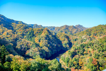 秋の竜神大吊橋から見た景色　茨城県常陸太田市　Autumn view from Ryujin Suspension Bridge. Ibaraki Pref,  Hitachiota City.