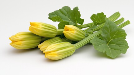 Fresh and Vibrant Courgette Flowers Stacked on a White Background Showcasing Their Unique Shape and Texture for Culinary and Gardening Inspiration