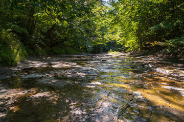 Obraz premium Wintergreen Gorge, Harborcreek Township, Erie County in the U.S. state of Pennsylvania