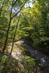 Fototapeta premium Wintergreen Gorge, Harborcreek Township, Erie County in the U.S. state of Pennsylvania
