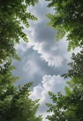 Obraz premium Grey clouds blanket the sky, revealing a tapestry of green leaves and branches , greenery, serenity, cloudy sky