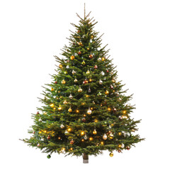 Fototapeta premium Christmas Tree With Baubles And Shiny Lights isolated on white or transparent background
