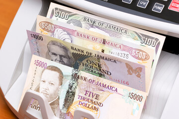 Jamaican dollar in the counting machine