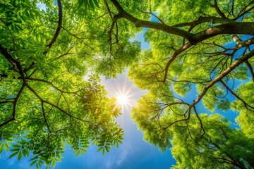 Fototapeta premium Serene Nature Scene with Tree Branches on the Left Side and Clear Blue Sky, Perfect for Background Use, Showcasing the Beauty of Natural Landscapes and Tranquility