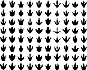 Black traces of dinosaurs 