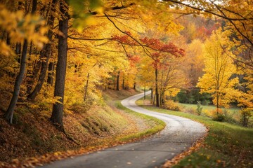 Obraz premium Stunning Autumn Forest Road Landscape with Colorful Foliage and Sunlight, Capturing the Essence of Fall in a Beautiful Park Setting
