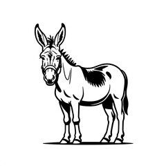Fototapeta premium Black and White Donkey Illustration: A simple yet striking illustration of a donkey, standing on a white background, with a harness around its head.