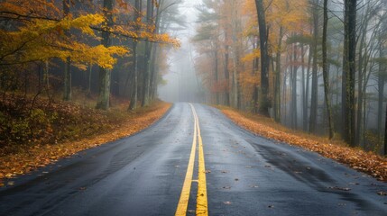 Fototapeta premium Foggy Road in Autumn Forest
