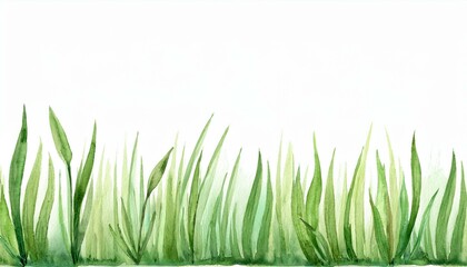 Fototapeta premium Grass watercolor illustration
