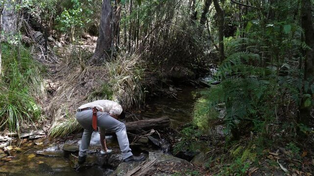 Australian bushman collecting water from mountain stream in the wilderness.