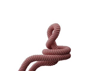 Fototapeta premium A rolled up nautical rope isolated in white background. Image 3D rendering.