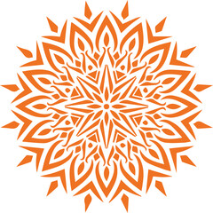 Beautiful flower art and mandala vector design