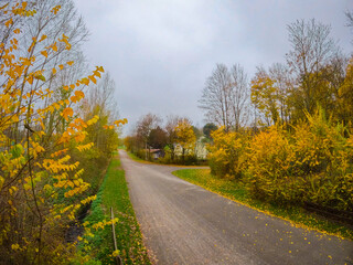 Fototapeta premium Dutch autumn landscape with a road through colorful trees. A beautiful path leading into the forest in cloudy weather