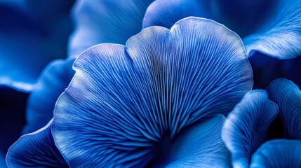 Close-up of a vibrant indigo milk cap mushroom, its deep blue hue standing out starkly