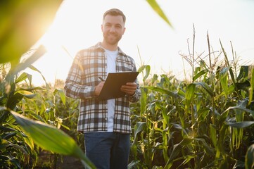 A young agronomist inspects the quality of the corn crop on agricultural land. Farmer in a corn...