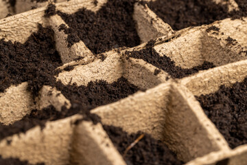 cardboard cups for seedlings with fertile soil