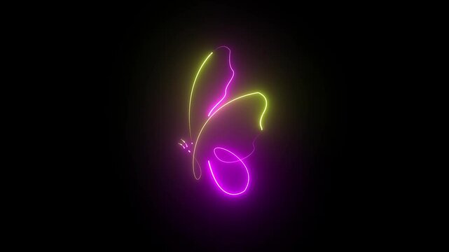 butterfly on black background, Animated neon butterfly neon line background.