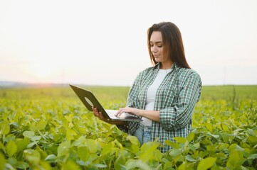 Modern agribusiness. Female farmer with digital laptop examines and checkins green leaves of...