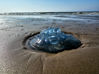 Am Strand von Blavand in Dänemark