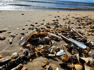 Am Strand von Blavand in Dänemark