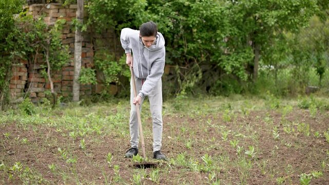 Teenage boy doing paid work, hoeing weeds in garden. Adolescent boy earning money by using hoe to remove weeds in vegetable bed. Young man working for pay, using hoe to clear weeds from garden
