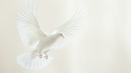 Fototapeta premium Graceful white dove in flight against a soft beige background