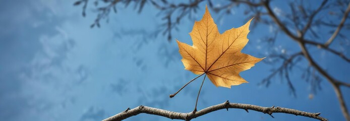 A single fall leaf adheres to the tip of a thin tree limb against clear blue, nature, tree, beauty