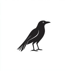 Obraz premium Simple black silhouette of a crow standing.