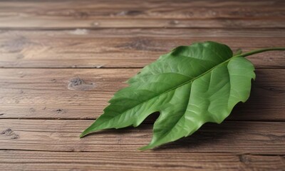 Closeup of a single green leaf on a wooden background, nature, vegetable, botanical