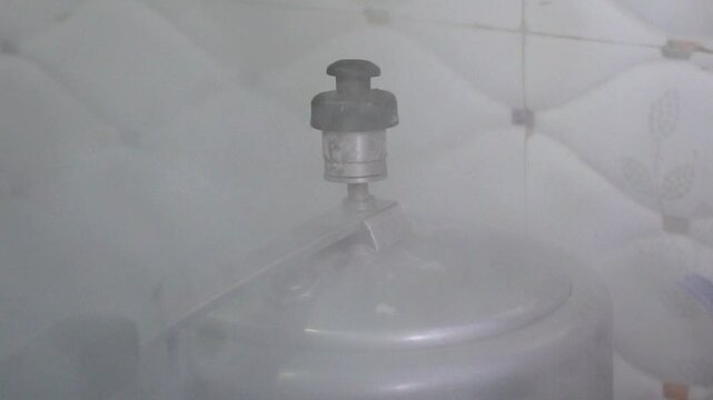 Food is cooking in the pressure cooker and cooker is giving whistle. 