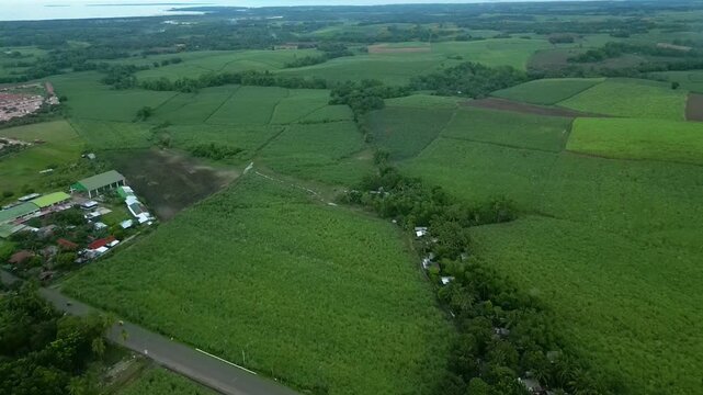 Fly through shot of the Bacolod region showing green scenery village life and the mountain,
