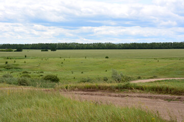 a dirt road with a green field and trees in the background