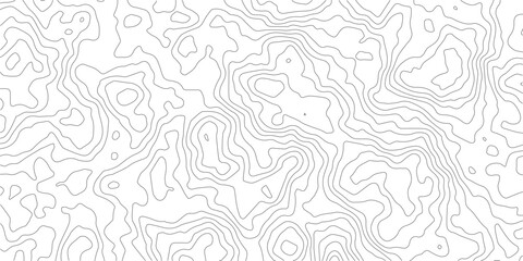 Fototapeta premium White wave paper curved reliefs abstract background, Topography map background. Vector geographic contour map. See Less Abstract topographic contours map background,