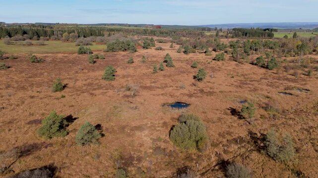 Fagnes pr&egrave;s de la Baraque de Fraiture - Vue a&eacute;rienne avec travelling avant