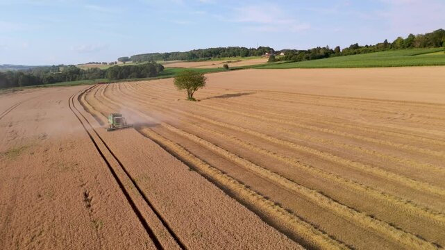 Montm&eacute;dy - Travelling sur champ de bl&eacute; et moissonneuse-batteuse