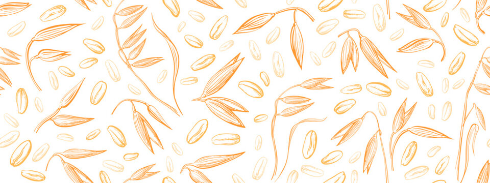 Oat spike, seeds seamless patern Wheat Spelt plant