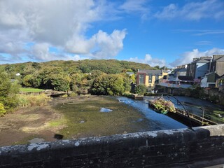 Fototapeta premium Forests and swamps of Ireland background
