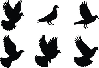 Fototapeta premium Set of pigeons. Silhouettes of birds. Vector illustration