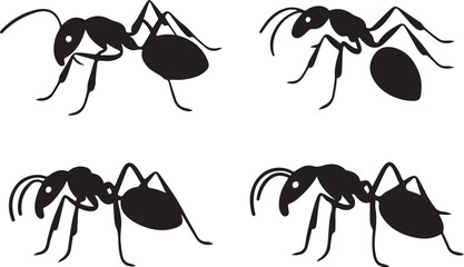 Ants set. Black ant on white background. Vector illustration.
