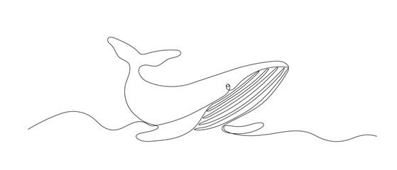 Fototapeta premium Whale one line sketch. Hand drawn doodle vector illustration isolated on white background. Sea animal drawing