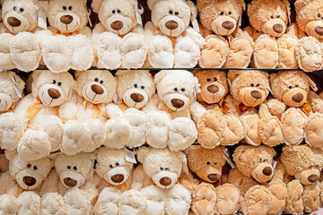 soft toy white and brown teddy bears on the counter in a children's store
